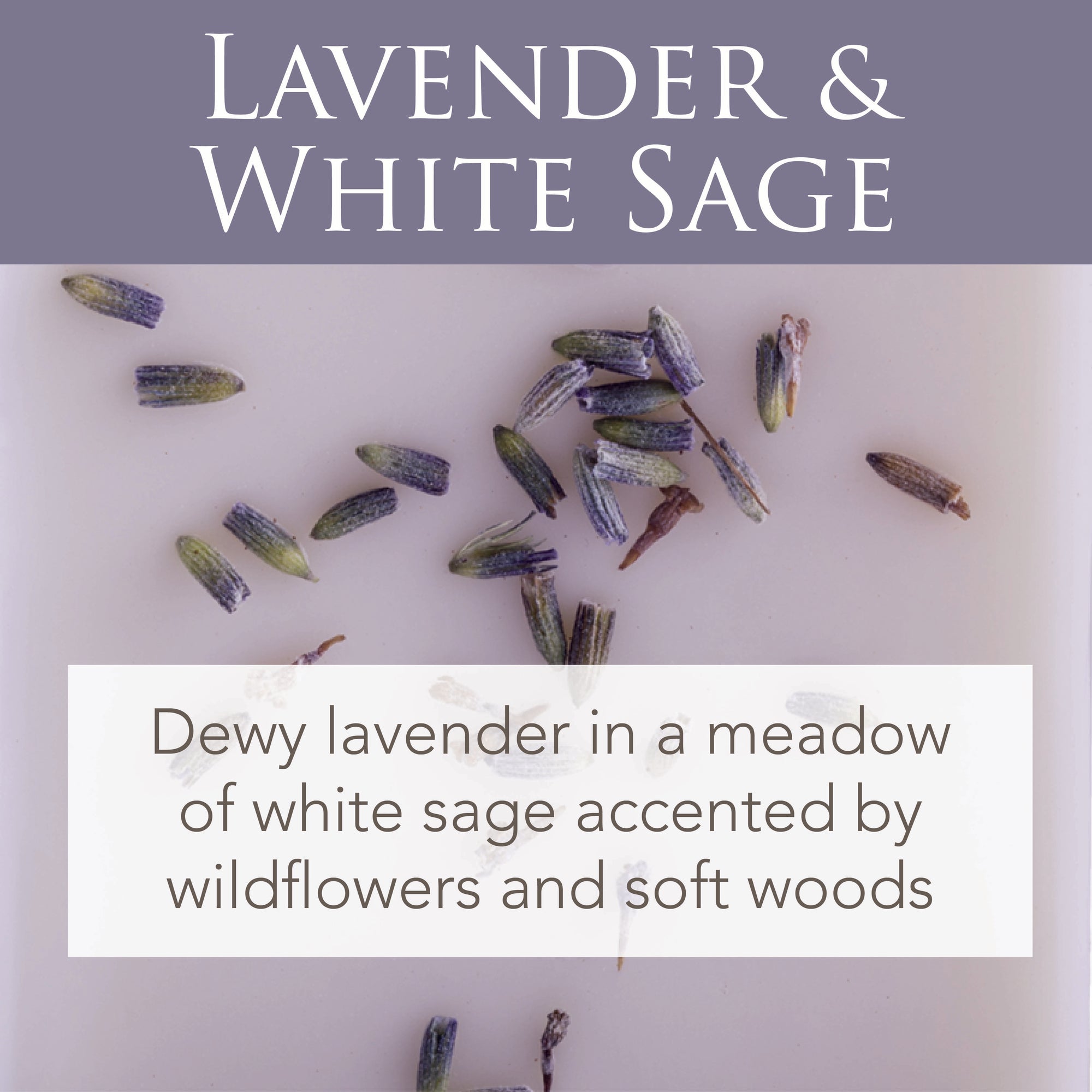 Lavender & White Sage 2.5 oz Wax Melts