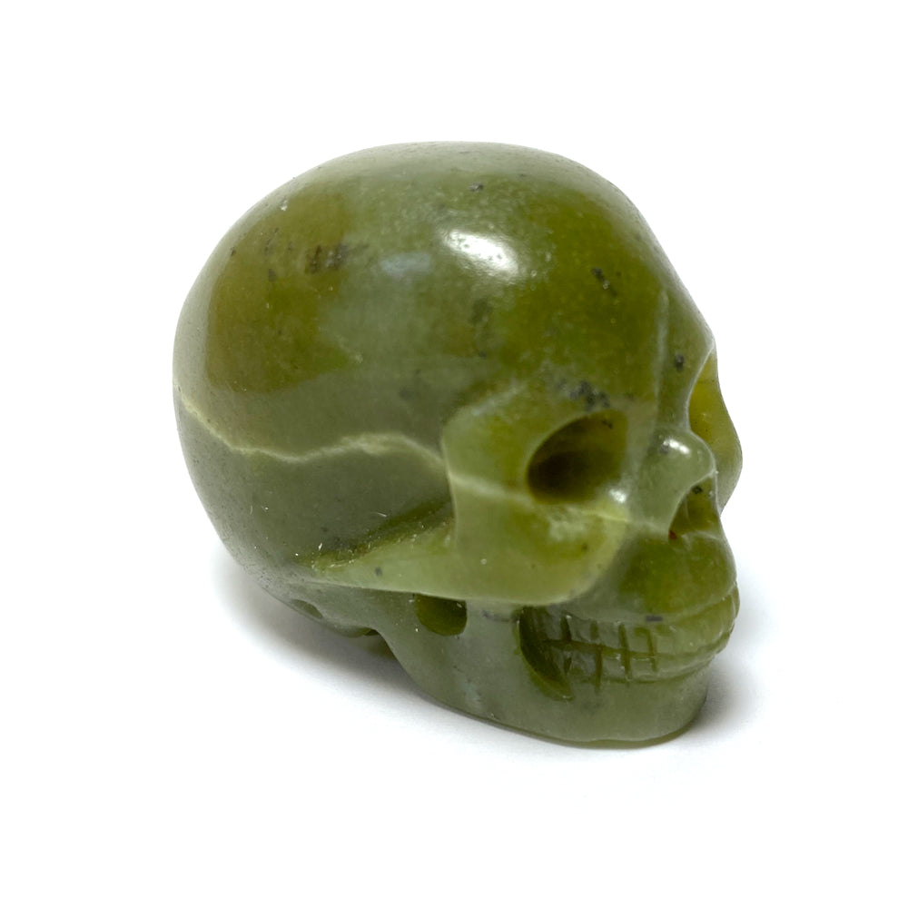Gemstone Crystal Skull - 2" Assorted Stone Choices!