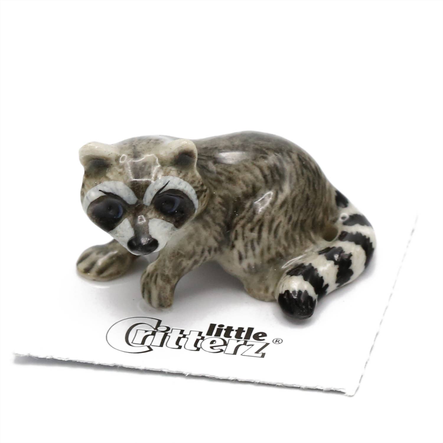 Bandit Raccoon Porcelain Miniature