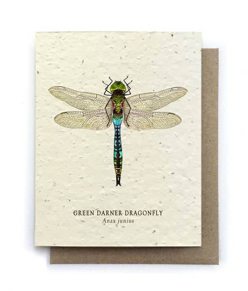 Dragonfly Greeting Card - Plantable Seed Paper