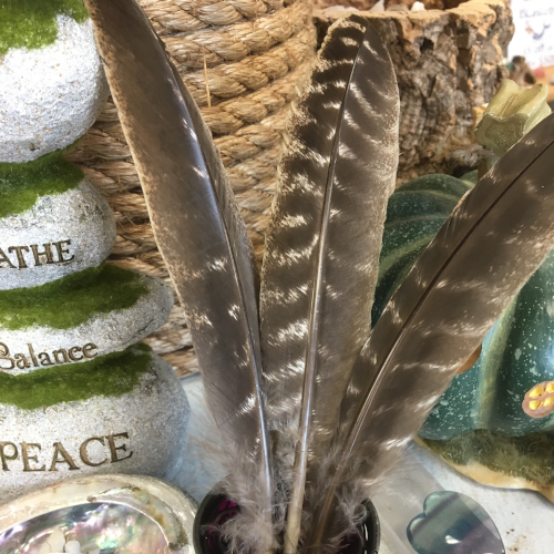 Smudging Feather - Assorted Styles