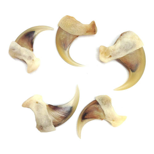 Claws, Jaws, and Such