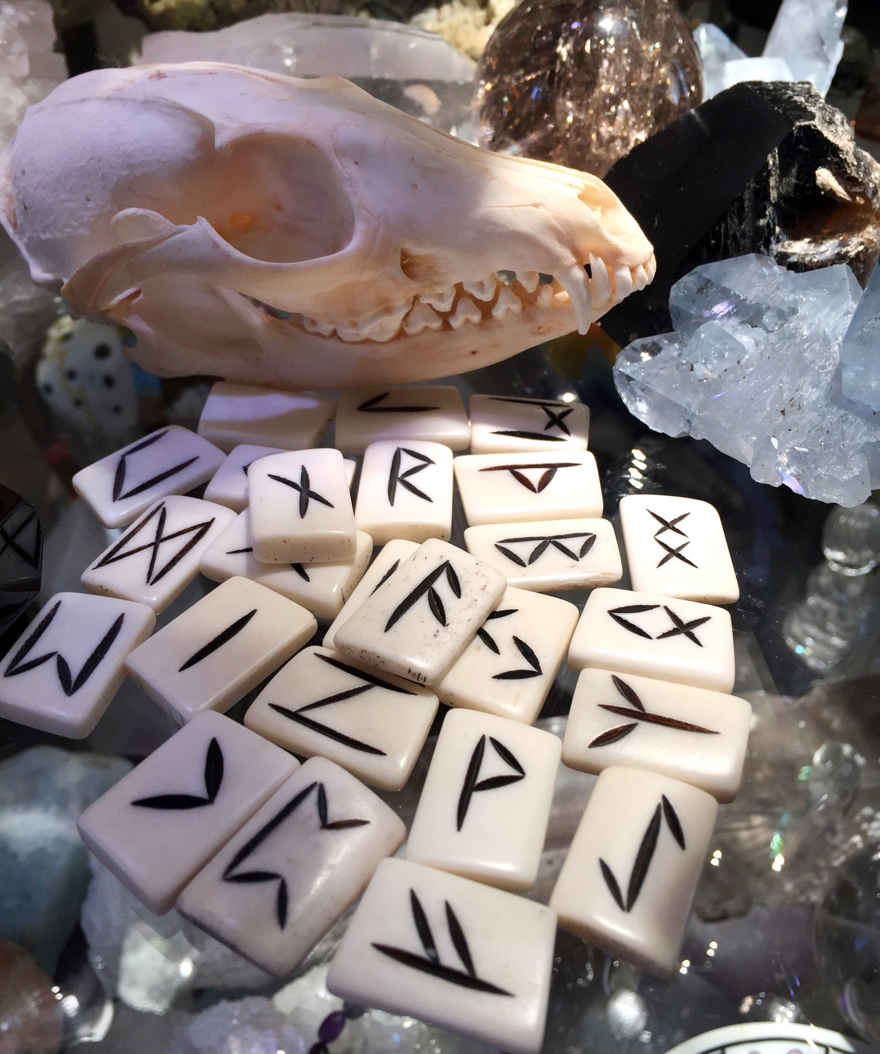 Real Bone Runes Set - Cast a Stone