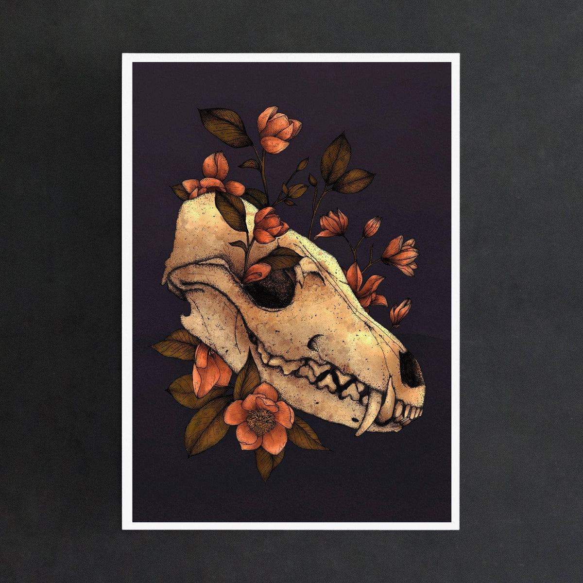 Fox Skull - Giclée Art Print