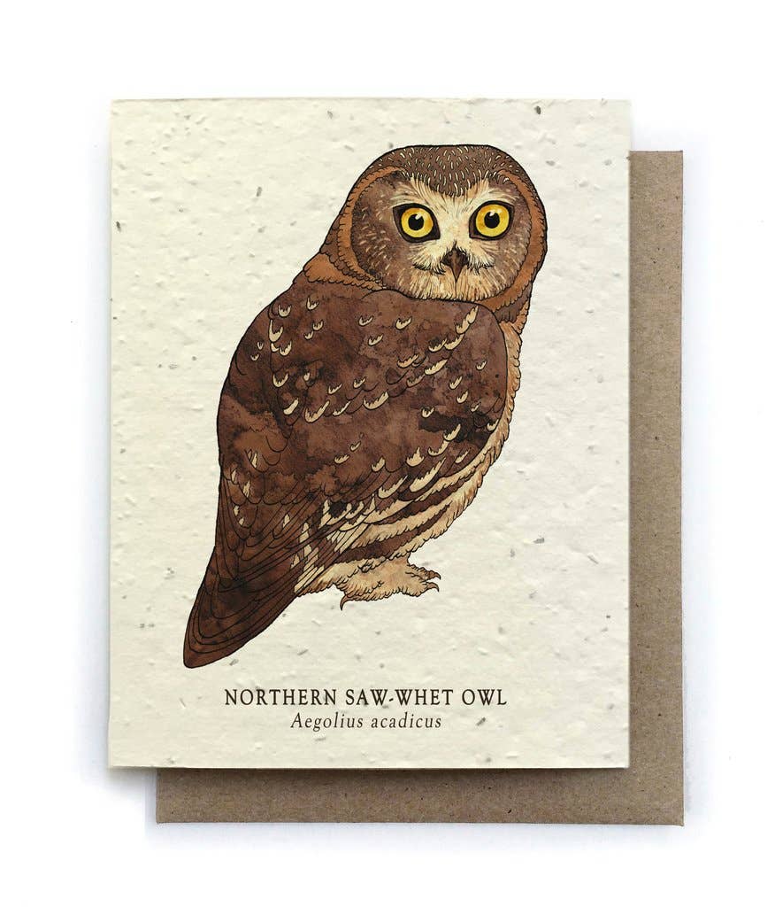 Owl Bird Greeting Cards - Plantable Seed Paper