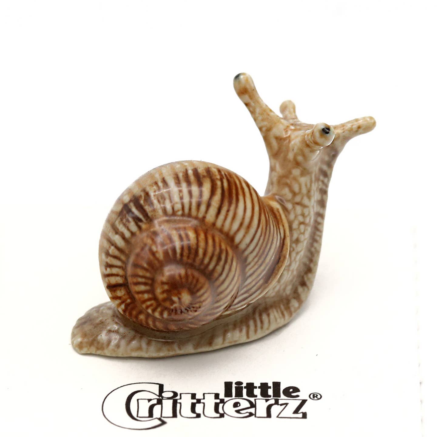 Helix Garden Snail Porcelain Miniature