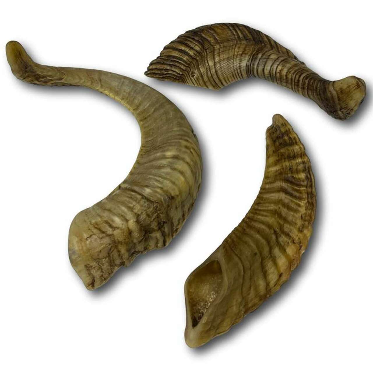 Claws, Jaws, and Such