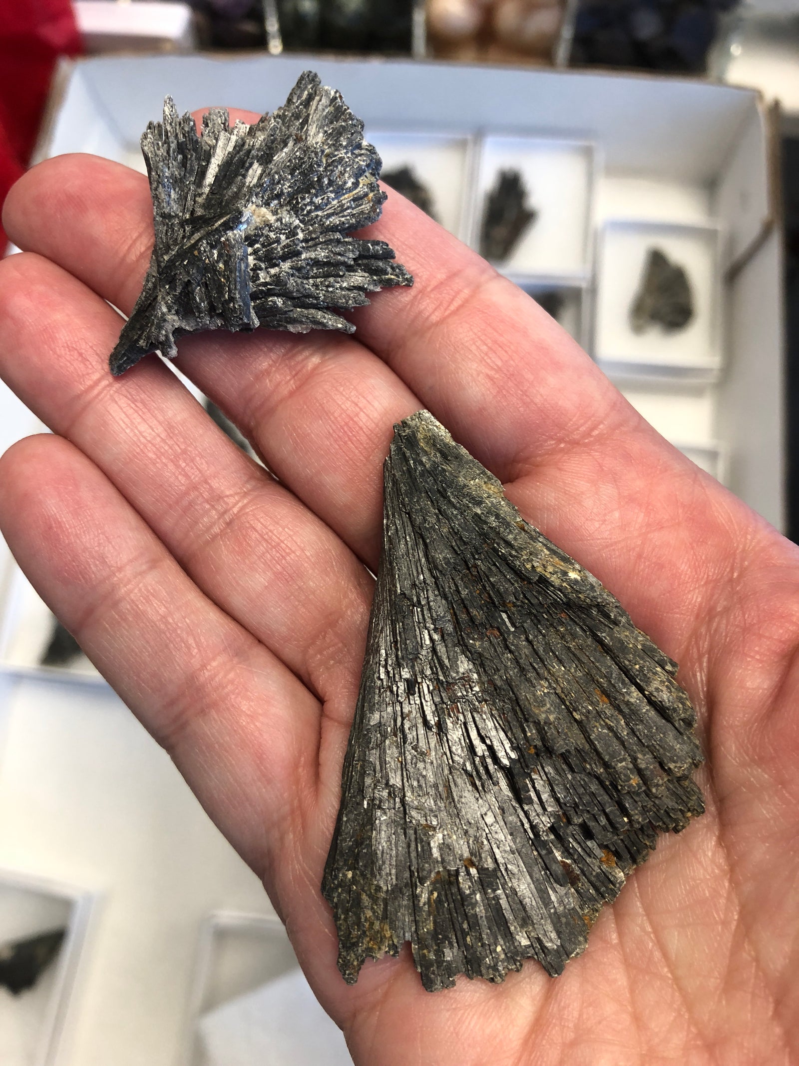 Black Kyanite Natural Gemstone