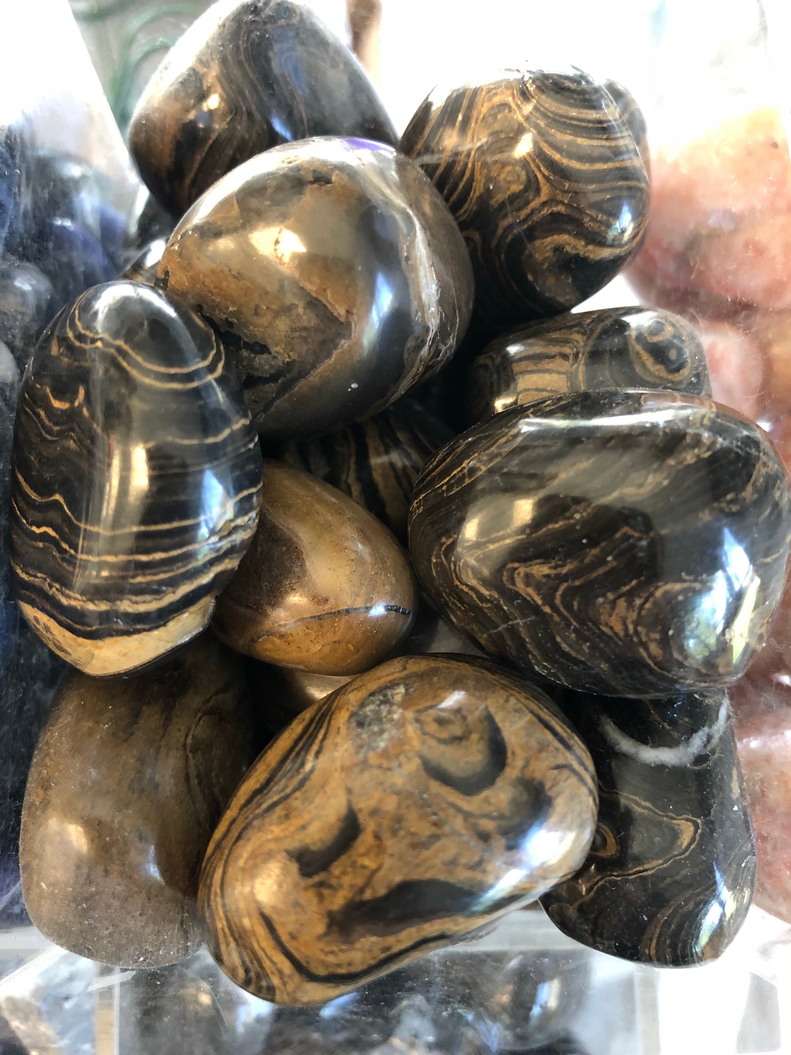 Stromatolite Tumbled Stone