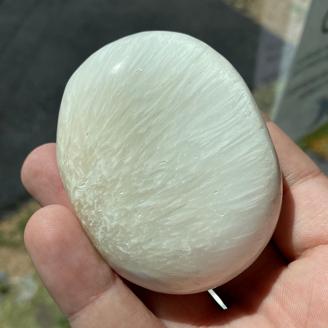 Premium Large Palm Stone - Assorted Styles