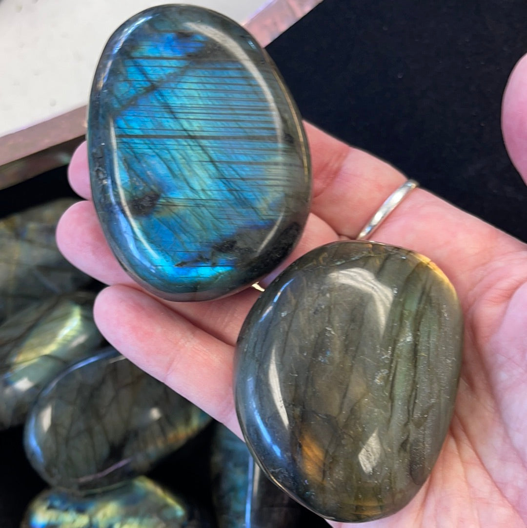 Premium Large Palm Stone - Assorted Styles