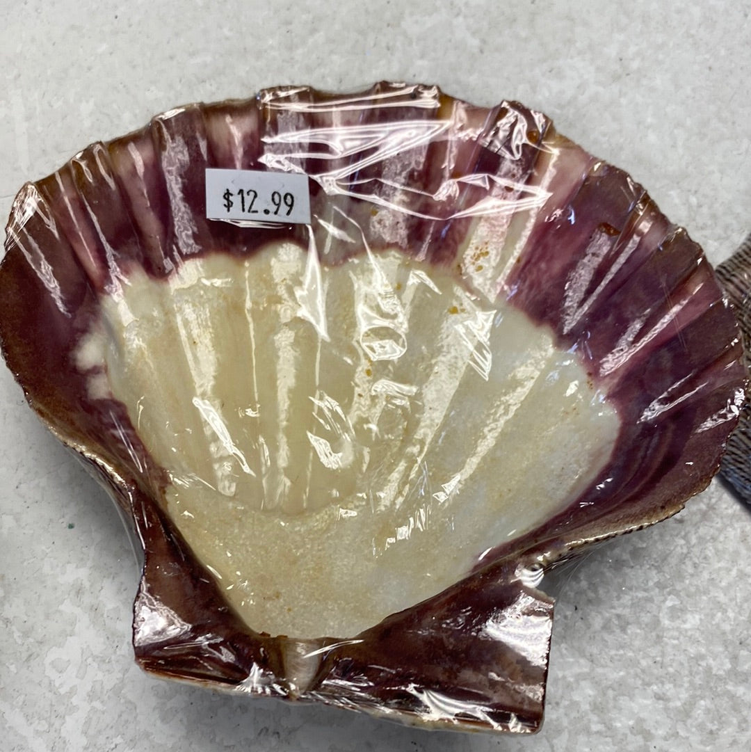 Abalone Shell for Smudging and Crystals