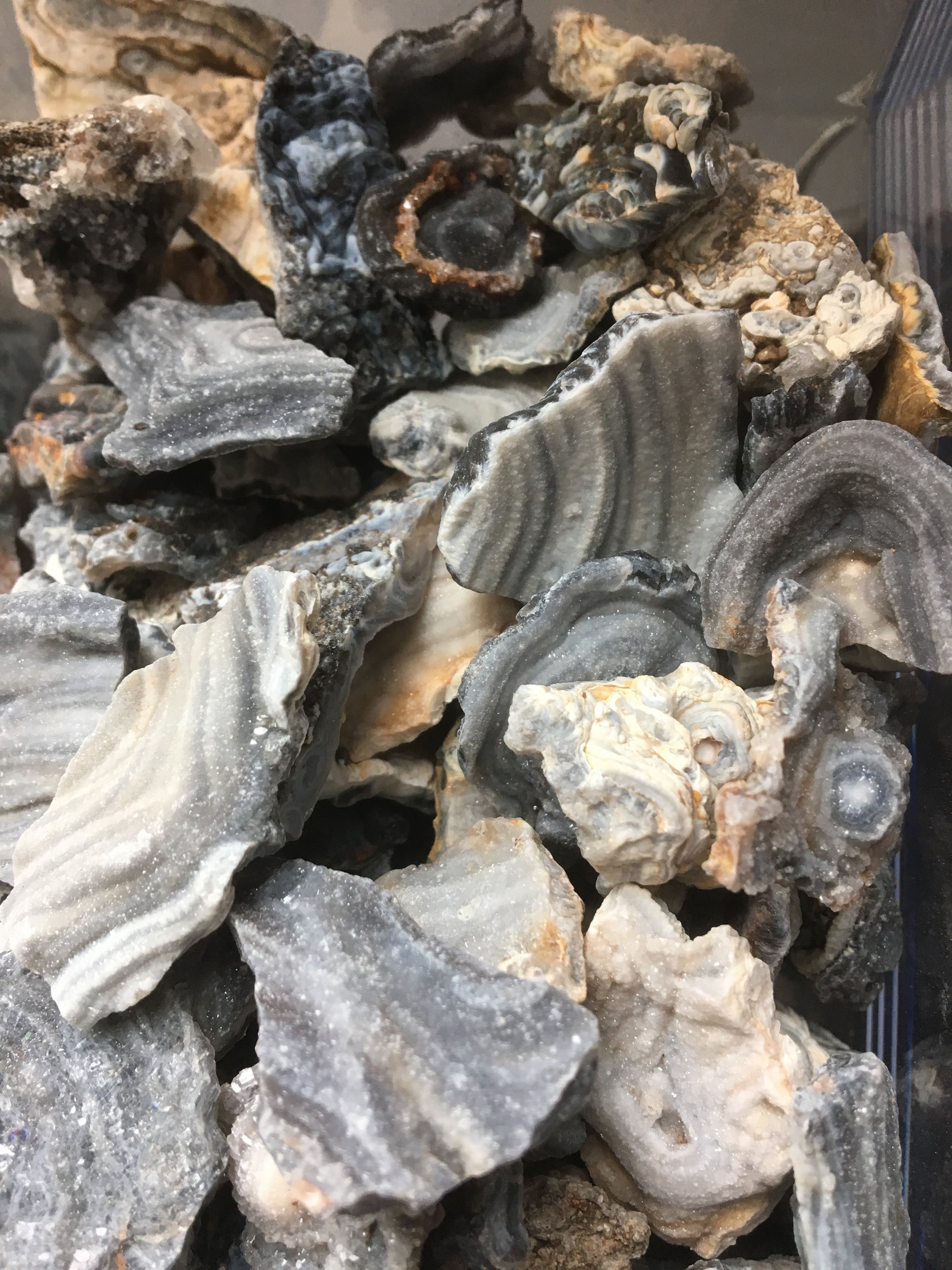 Chalcedony Rosette Natural Gemstone