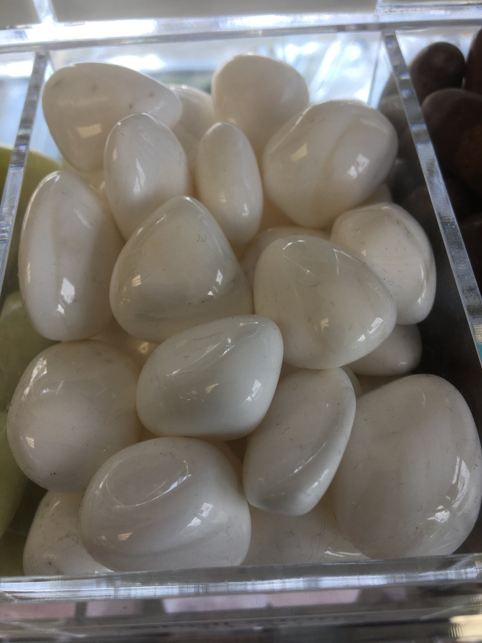 Shell Stone Tumbled Single Gemstone - Cast a Stone