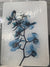 Medium Turquoise Orchids X-Ray Cutting Board - Cast a Stone