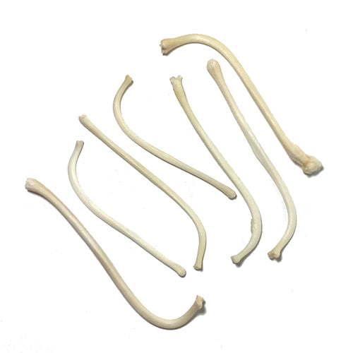 Claws, Jaws, and Such