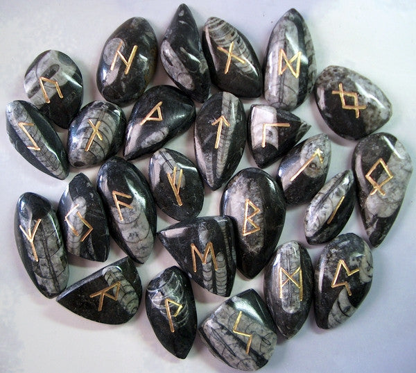 Orthoceras Fossil Rune Stone set