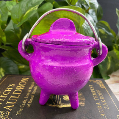 Hot Pink Cast Iron Cauldron with Lid
