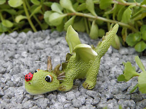 Mini Dragon Playing with Ladybug - Cast a Stone