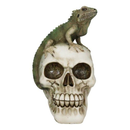 Iguana On Skull Statue