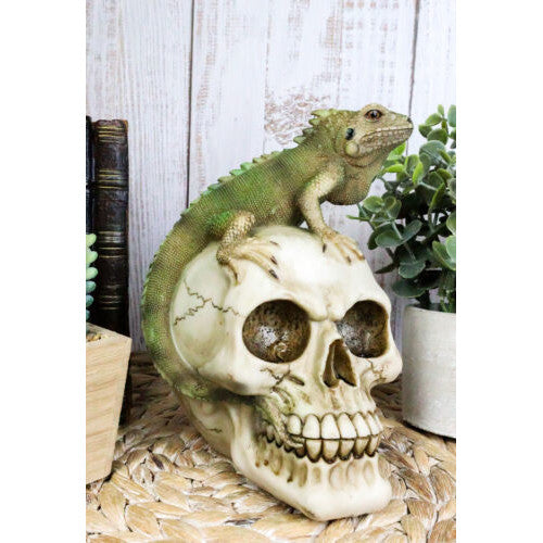 Iguana On Skull Statue
