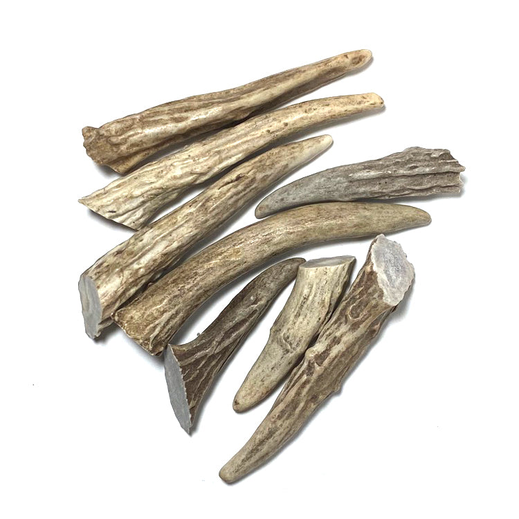 Claws, Jaws, and Such